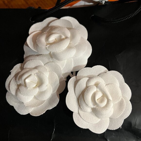 HERMES CHANEL LOUIS VUITTON Bags Boxes Camillas Ribbon  - Luxury Designer Decor - Picture 7 of 8